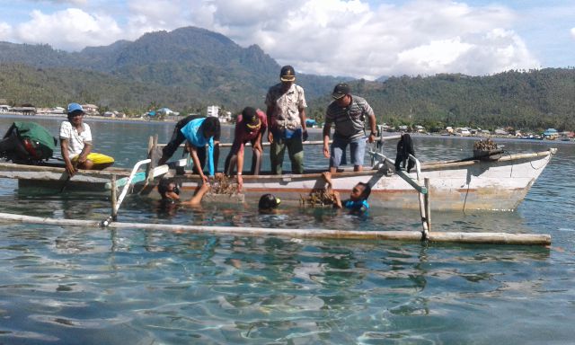 Peringati Hari Bumi, Biosfer Tanam Terumbu Karang